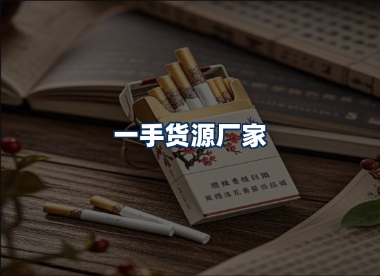 专业团队办公环境